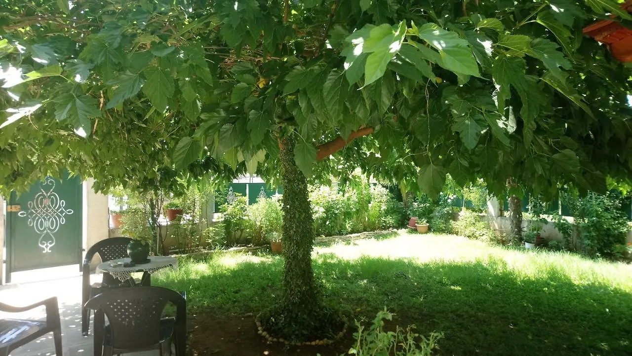 Holiday Home In Chalkidiki, Lakkoma Nea Kallikrateia Griekenland